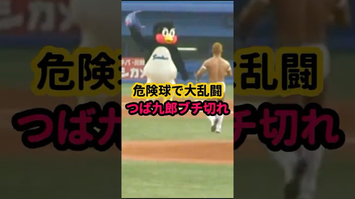 【伝説】つば九郎がブチ切れ！レスラーをぶん投げるｗ #始球式 #プロ野球 #ヤクルトスワローズ