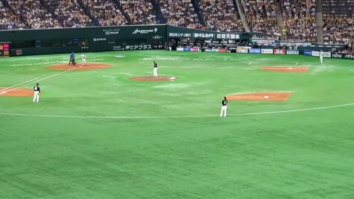 20240817　石塚綜一郎の応援5秒前！【旧･育成汎用 応援歌】　5回ｳﾗ　福岡ｿﾌﾄﾊﾞﾝｸﾎｰｸｽ　汎用ﾃｰﾏ@みずほPayPayﾄﾞｰﾑ福岡･外野ﾗｲﾄ