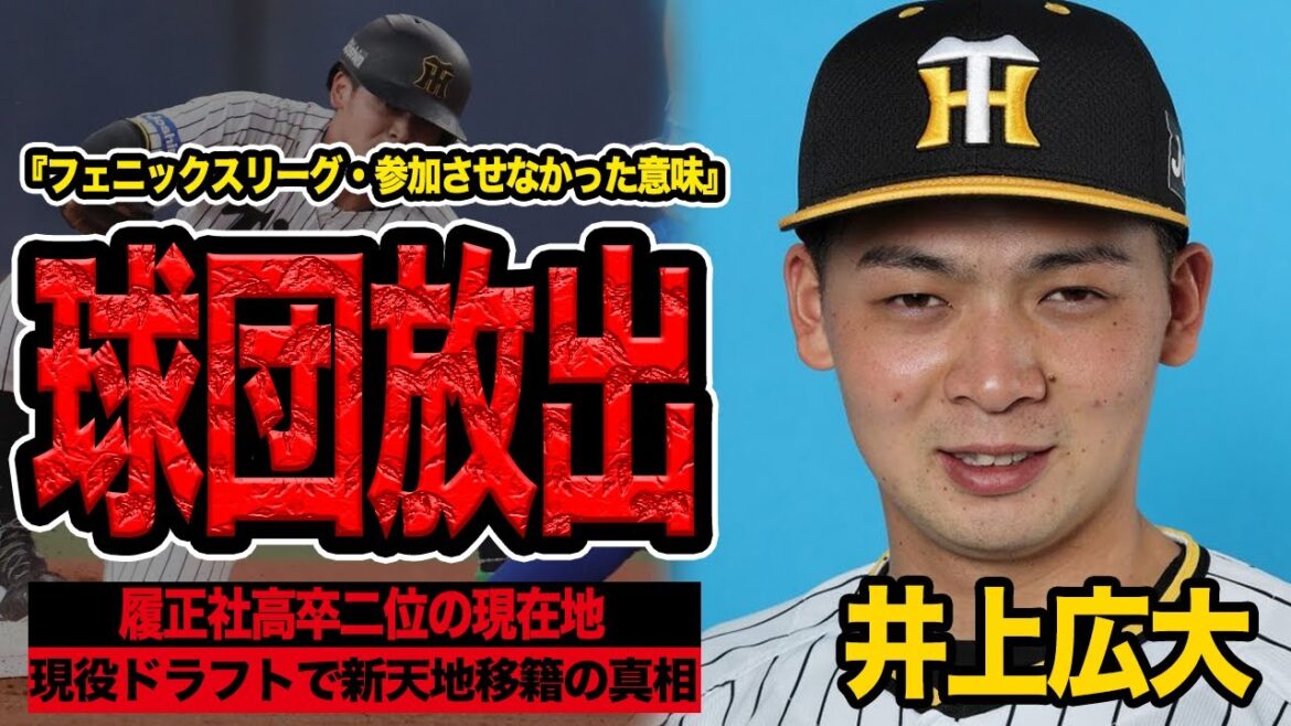 井上広大が阪神追放が決定的となった衝撃の真相に言葉を失う…履正社ドラ２位が2軍で停滞、わずか１試合で藤川監督に2軍で干された舞台裏に絶句【阪神タイガース】【現役ドラフト】