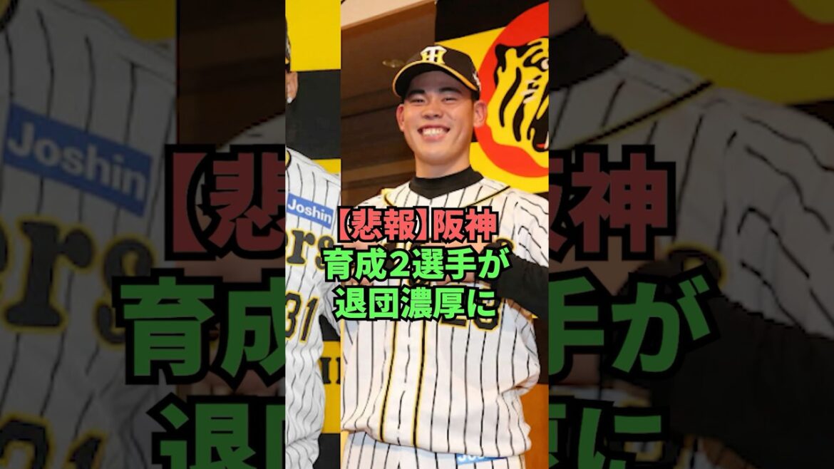 【悲報】阪神育成2選手が退団濃厚に