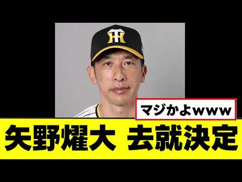 【矢野燿大】ついに来季の去就が決定する 【矢野燿大】ついに来季の去就が決定する
