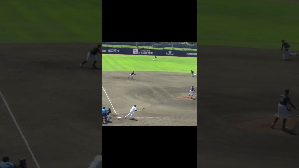 【ファイターズ】淺間大基が1アウトからレフトへヒット2024年6月5日 日本ハムファイターズ対 千葉ロッテマリーンズ