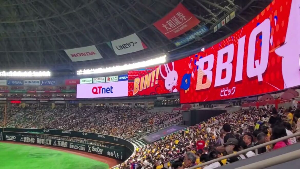 20241004　福岡最終戦！千葉ﾛｯﾃﾏﾘｰﾝｽﾞ　4回表　攻撃前@みずほPayPayﾄﾞｰﾑ福岡･外野ﾗｲﾄ