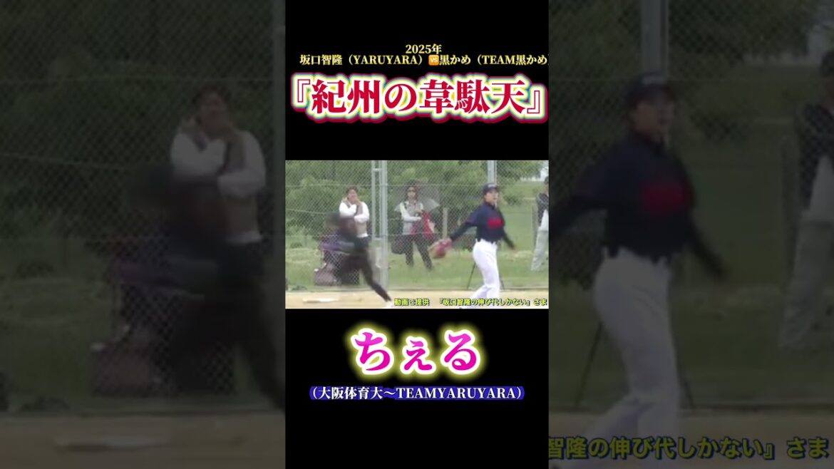 【紀州の韋駄天　ちぇる】坂口智隆vs黒かめ　TEAMYARUYARA  #ソフトボール #野球 #softball #甲子園 #好プレー集#日本代表 #坂口智隆 #オリックスバファローズ