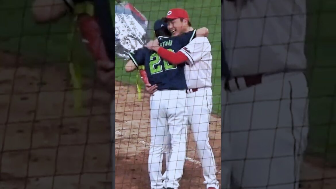 新井監督から高津監督へ💐 #shorts #carp  #swallows  #新井貴浩  #高津臣吾