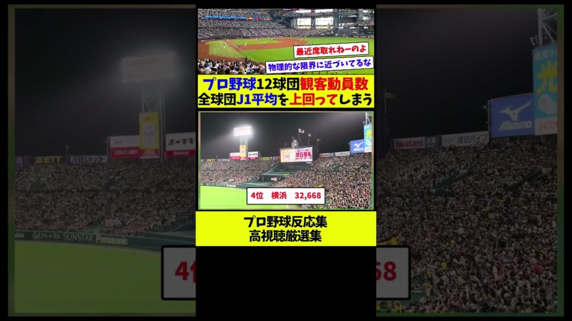 【プロ野球最強説！？】2024年プロ野球観客動員数ランキング！　全球団がJ1平均観客動員数以上！