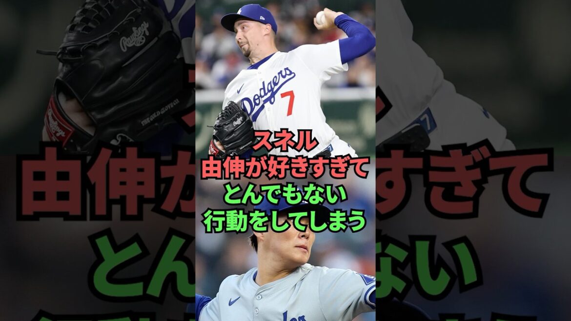 スネル由伸が好きすぎてとんでもない行動をしてしまう