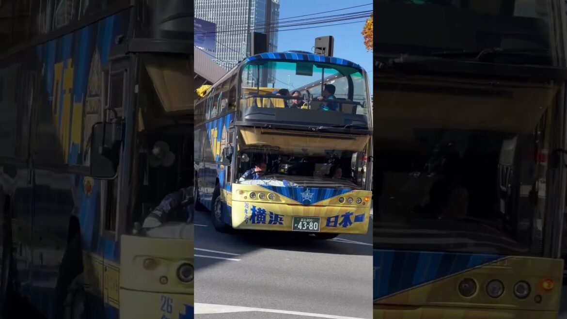 日本一優勝パレード終了後、選手達を乗せた引き上げ中のバスに遭遇【横浜DeNAベイスターズ 2024/11/30】 #baystars