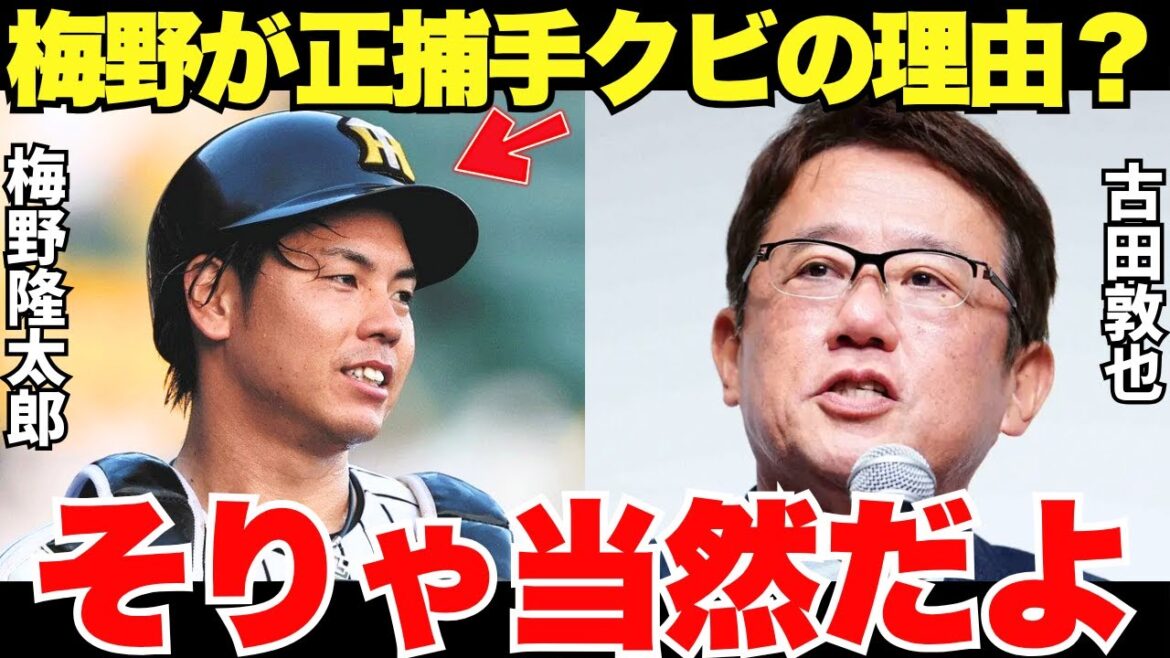 的確すぎ！古田が漏らした阪神の打てる捕手・梅野隆太郎が正捕手をクビになった理由がさすがすぎた。
