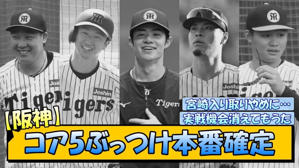 【阪神】コア5ぶっつけ本番確定…