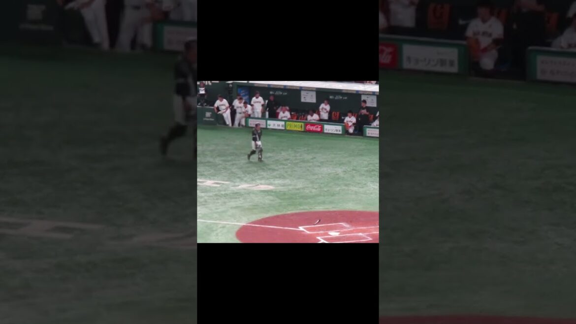 立岡宗一郎がエラーで出塁した時の巨人ベンチの様子＜読売ジャイアンツ対 千葉ロッテマリーンズ2024年6月6日＞