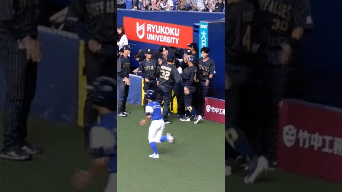 20240922森友哉選手ハイタッチ #オリックスバファローズ #森友哉 #プロ野球