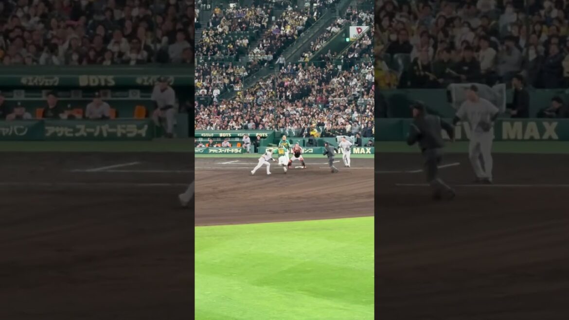 植田海 神走塁 #現地観戦  #ハイライト #神走塁