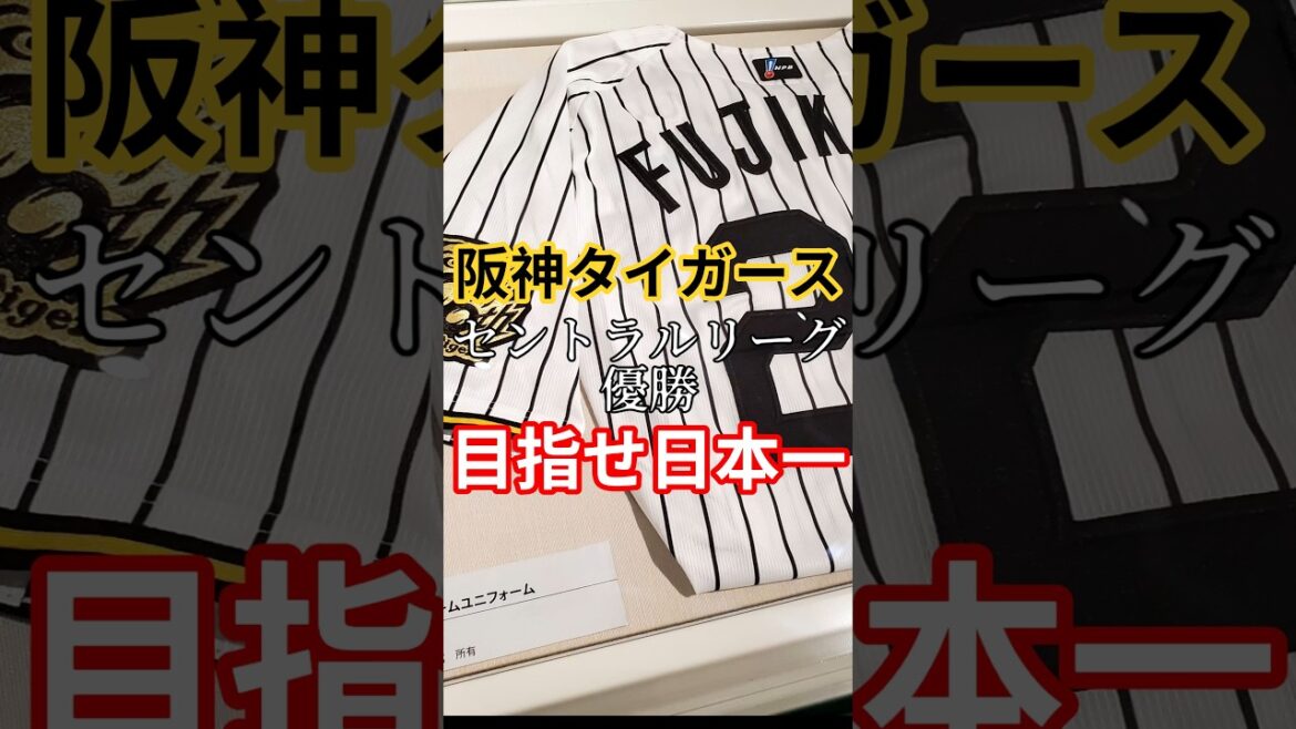 阪神タイガース セントラルリーグ優勝記念　#shorts #阪神タイガース #野球