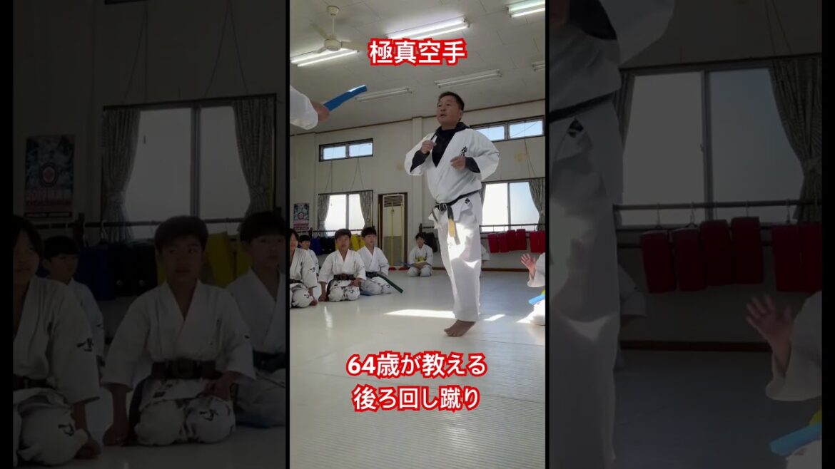 64歳空手師範の後ろ回し蹴り #karate #極真空手 #極真会館 #鴨志田裕寿 #martialarts #後ろ回し蹴り
