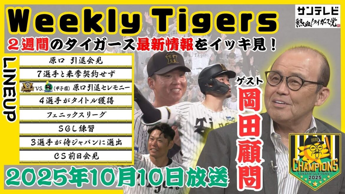 【岡田彰布さんと見る2週間分のタイガース情報🐯】レギュラーシーズン最終戦からCSに向けての調整状況をイッキ見 #熱血タイガース党