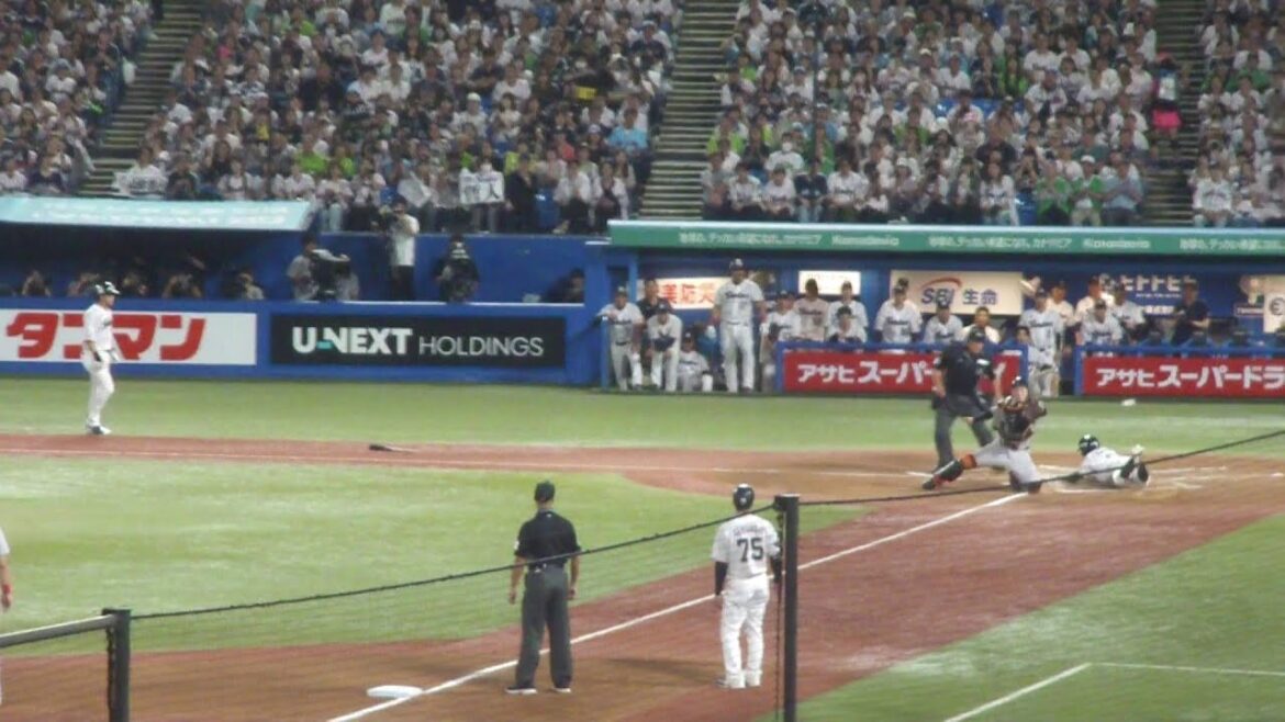 ヤクルト 山田哲人 先制の犠牲フライ　ヤクルト vs 巨人　2025年9月28日(日)　神宮球場