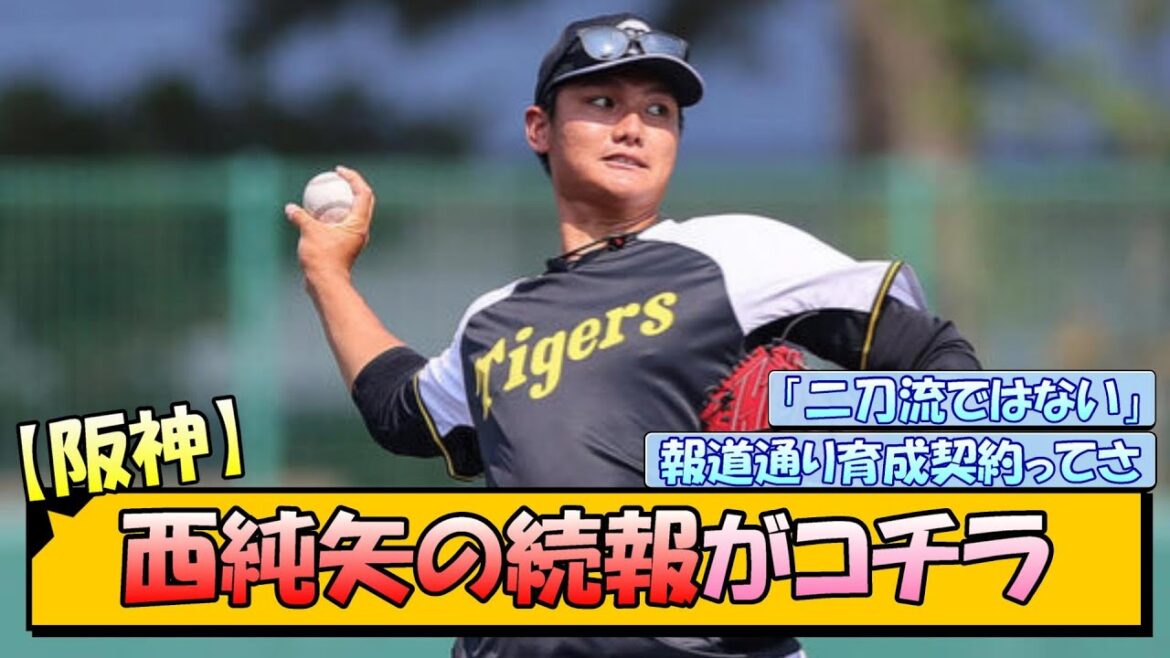 【阪神】西純矢の続報がコチラ