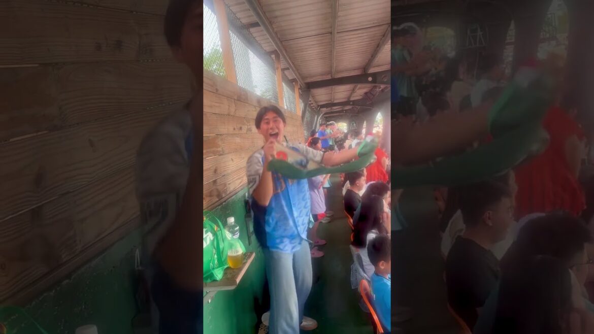 【南人祭】台鋼雄鷹 #9 王柏融 #粉絲應援 #台鋼雄鷹 #王柏融 #日本人 #ファイターズ