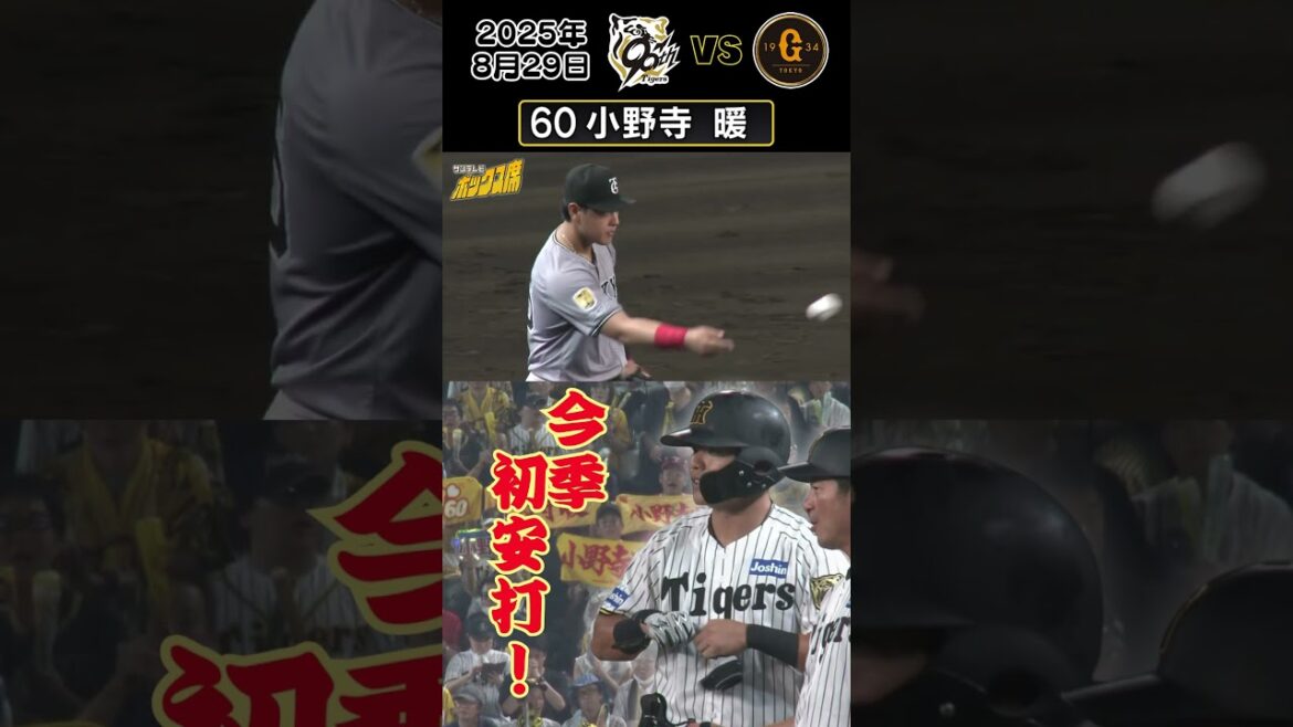 【小野寺 待望の1軍初安打! 】惜しくも後続が続かず、得点にはつながりませんでした涙(2025年8月29日 阪神ー巨人) #サンテレビボックス席 #shorts 【小野寺 待望の1軍初安打! 】惜しくも後続が続かず、得点にはつながりませんでした涙(2025年8月29日 阪神ー巨人) #サンテレビボックス席 #shorts