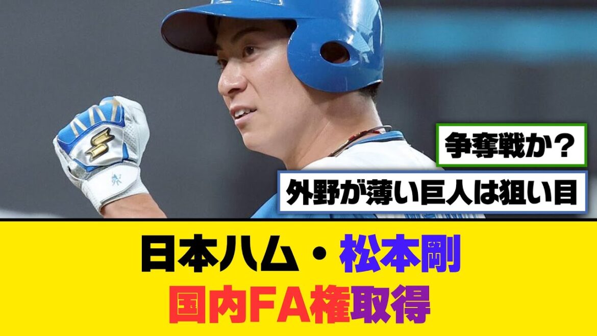 日本ハム・松本剛、国内FA権取得【5ch/2ch】【なんj/なんg】【反応集】