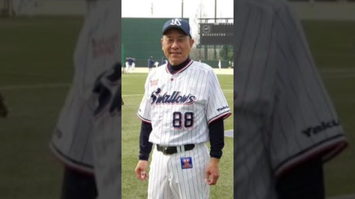 #ヤクルトスワローズ#東京ヤクルト#池山隆寛#ブンブン丸#ヤクルト新監督#プロ野球ニュース#スワローズ再建#山田哲人#村上宗隆#赤羽由紘#伊藤大海#NPB#プロ野球2025#神宮球場#Swallows