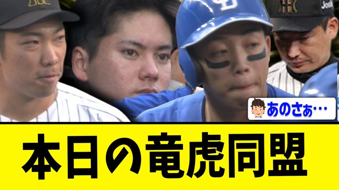 【ﾅｧﾆｺﾚｪ】中日＆阪神ファン『もう尾張だよ虎の試合…』