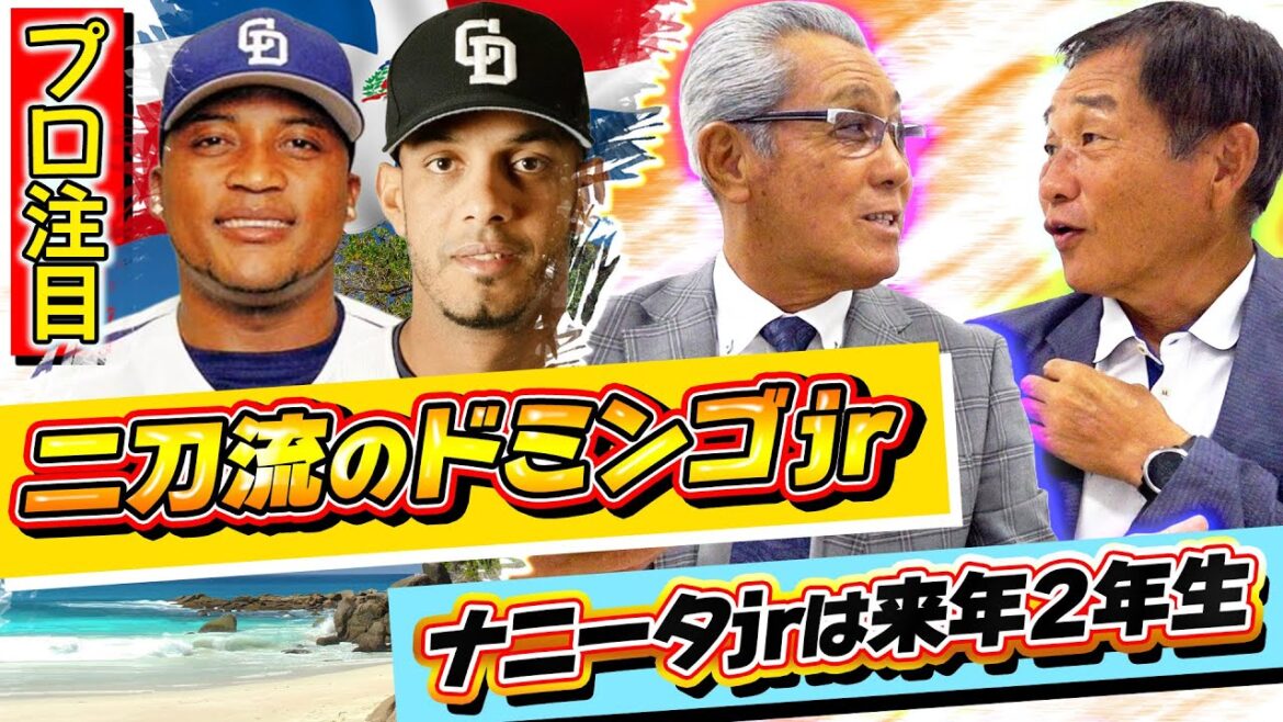 #57【プロ注目！ドミンゴjr】「ドラゴンズの指名はあるのか」大統領と顔馴染み!?の森さんが語るドミニカの教育事情