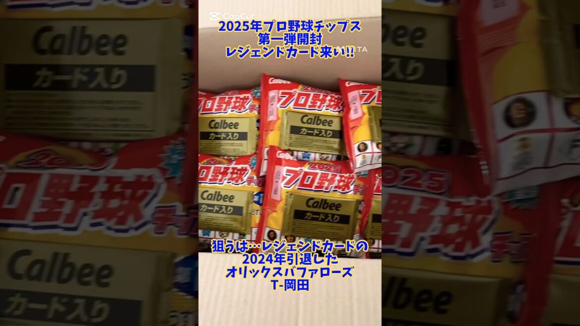 昨年引退T-岡田レジェンドカード狙い#7 #プロ野球チップス #開封動画 #開封 #オリックスバファローズ #バファローズ #オリックス #t岡田 #プロ野球 #引退 #コレクション #カード #野球 昨年引退T-岡田レジェンドカード狙い#7 #プロ野球チップス #開封動画 #開封 #オリックスバファローズ #バファローズ #オリックス #t岡田 #プロ野球 #引退 #コレクション #カード #野球