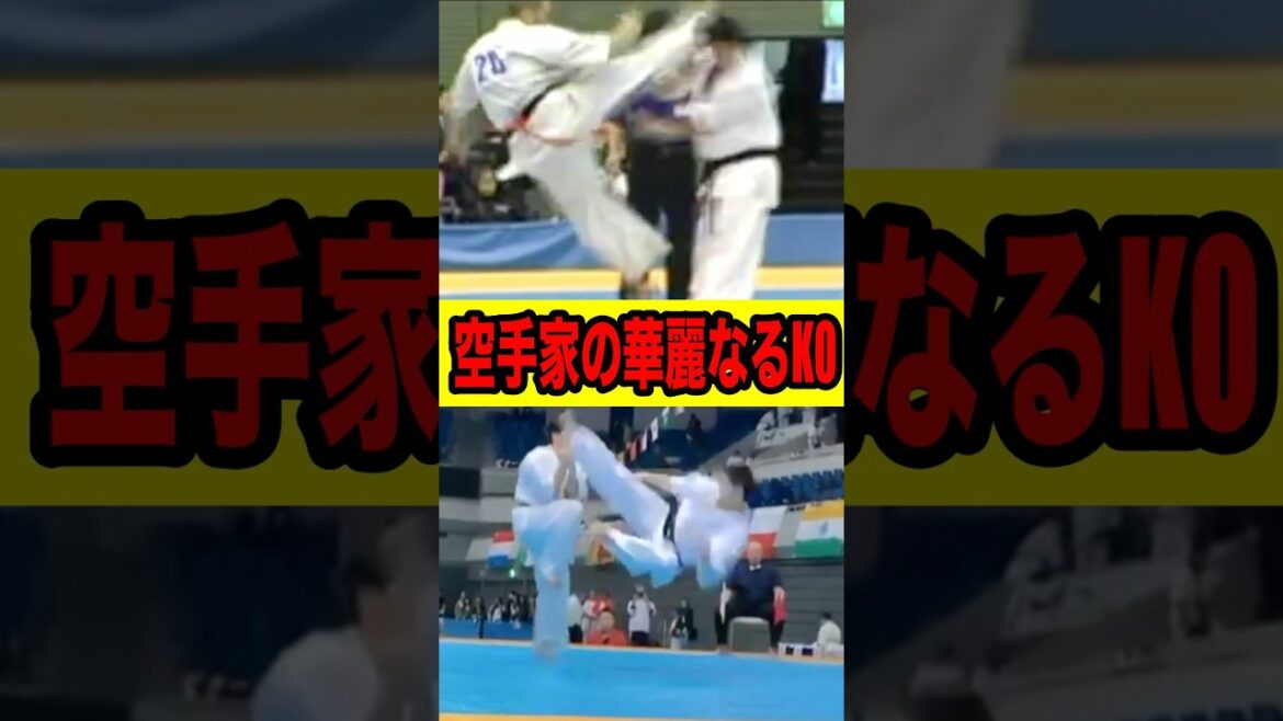 華麗なる飛び技！空手家の衝撃のKOシーン #kyokushin #karate