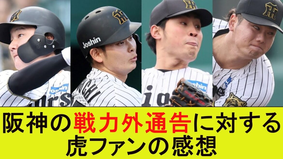 阪神の戦力外通告に対する虎ファンの感想【なんJ/プロ野球/2ch/5ch/反応/まとめ】 阪神の戦力外通告に対する虎ファンの感想【なんJ/プロ野球/2ch/5ch/反応/まとめ】