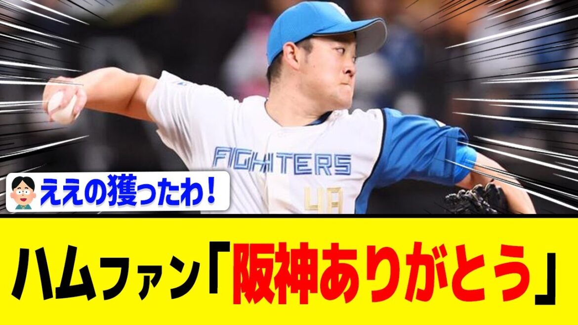 【日ハム】斎藤友貴哉、１６０キロ連発