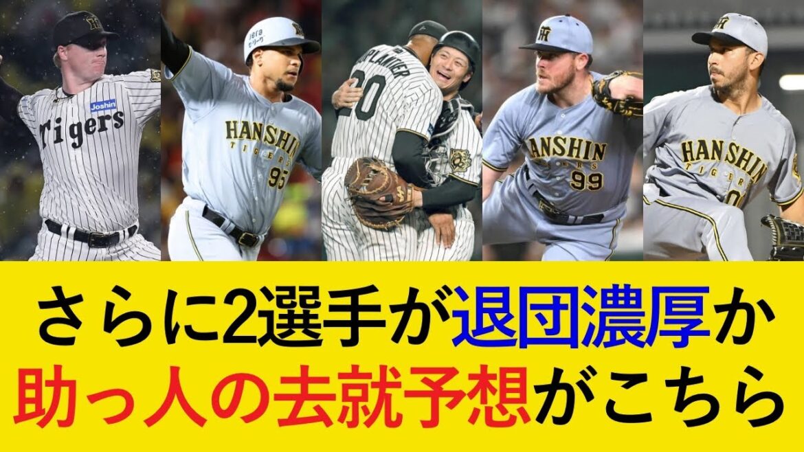 終盤のアピールで逆転残留も…?助っ人7選手の去就予想がこちら【阪神タイガース】 終盤のアピールで逆転残留も...?助っ人7選手の去就予想がこちら【阪神タイガース】