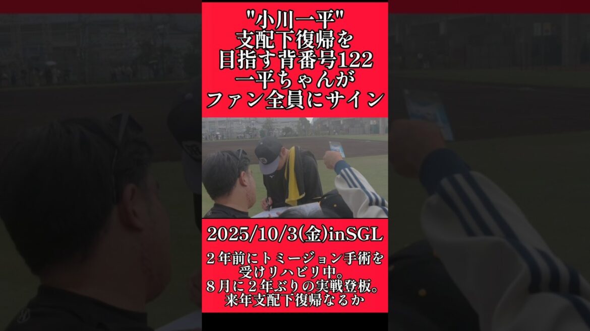 【阪神】"小川一平"育成から支配下復帰を目指す背番号122！ #阪神 #阪神タイガース #小川一平 #shorts
