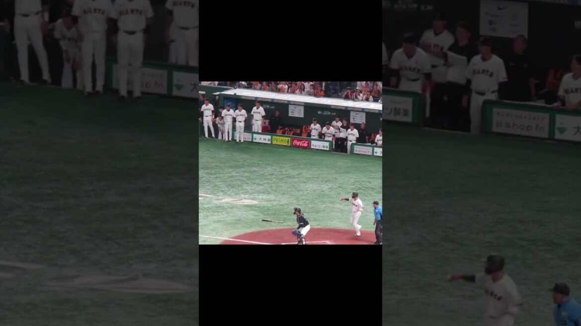 丸佳浩タイムリーヒット 2人生還で喜ぶ巨人ベンチの様子＜読売ジャイアンツ対 千葉ロッテマリーンズ2024年6月6日＞