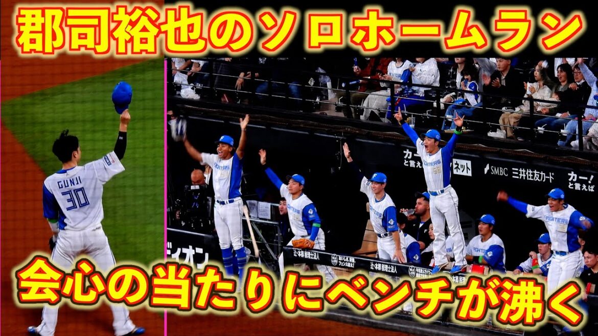 【20251011】郡司裕也　４回裏貴重な追加点となるソロホームラン時のベンチの様子。