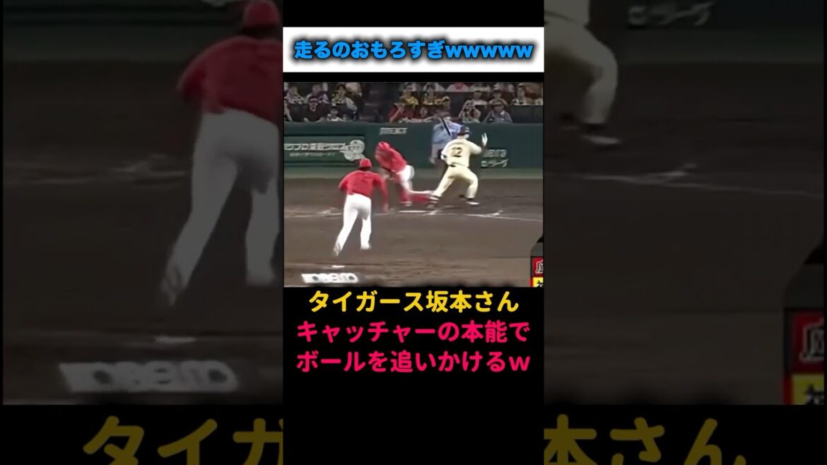 【爆笑】坂本さんキャッチャーの本能でボールを追いかけてしまうｗ #野球 #阪神タイガース