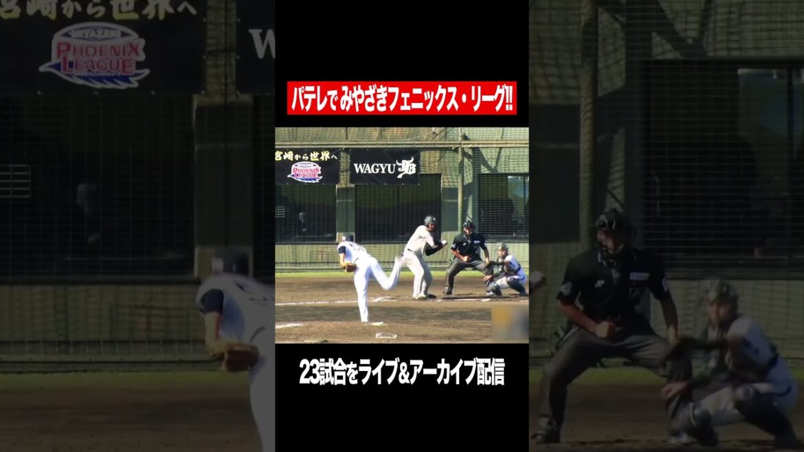 注目若手選手続々。 #shorts