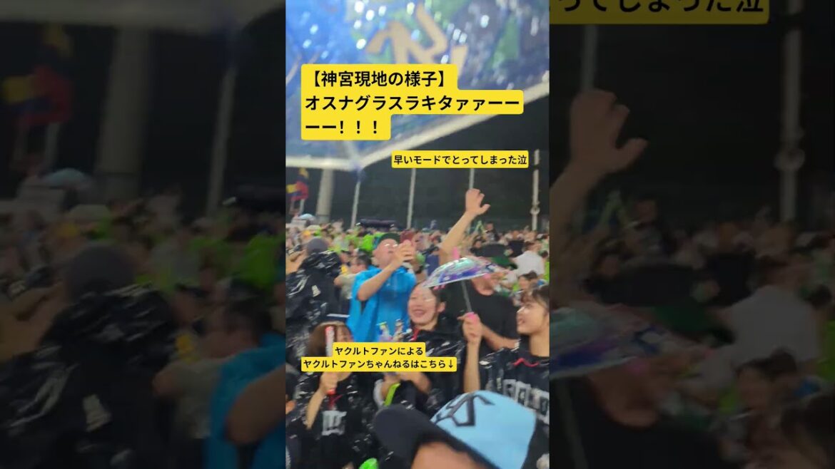 【現地大興奮の様子】#オスナ グラスラキタァァーーーー！！！ #ヤクルト #野球 #神宮球場 #村上宗隆 #プロ野球 #オスナ