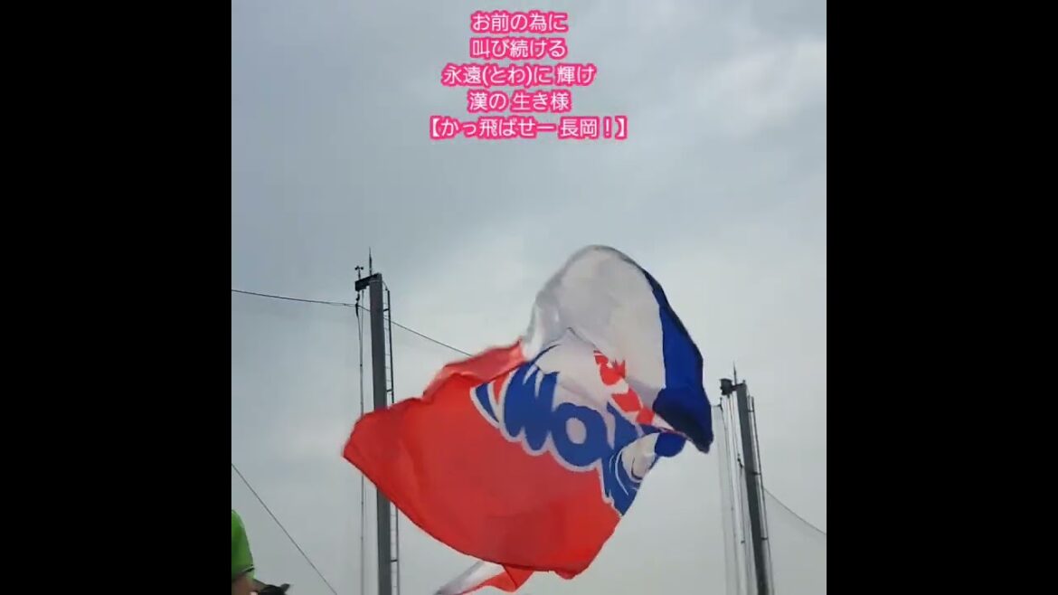 20251004 試合後のお前…【 長岡秀樹 応援歌】 #shorts 東京ヤクルトスワローズ@MAZDA Zoom-Zoom スタジアム広島・ビジターパフォーマンス 20251004 試合後のお前…【 長岡秀樹 応援歌】 #shorts 東京ヤクルトスワローズ@MAZDA Zoom-Zoom スタジアム広島・ビジターパフォーマンス