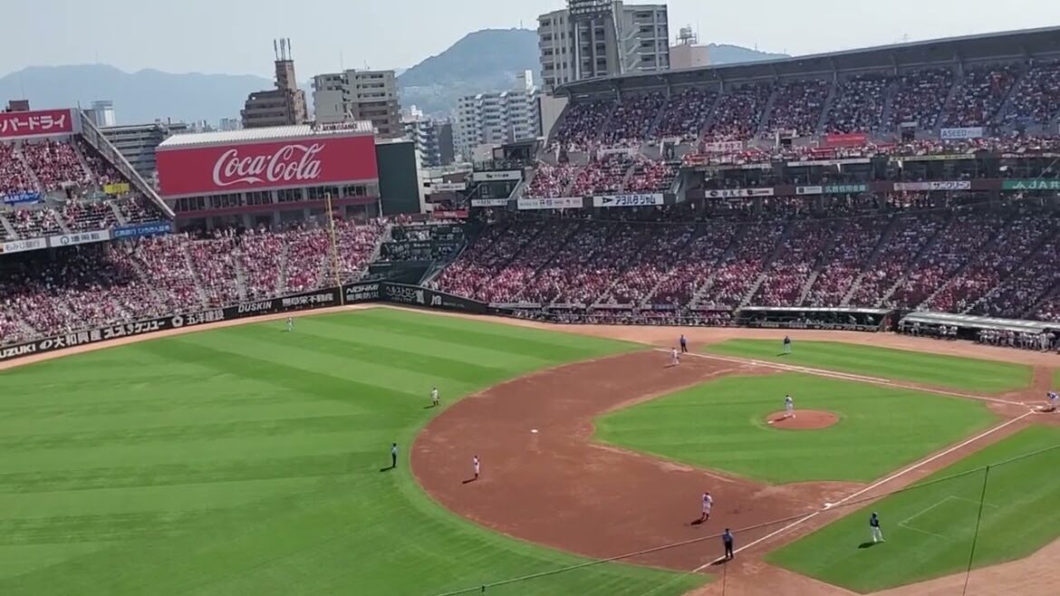 20240908　ｷﾉﾀｸ正念場…【木下拓哉 応援歌】　2回表　中日ﾄﾞﾗｺﾞﾝｽﾞ@MAZDA Zoom-Zoom ｽﾀｼﾞｱﾑ広島･ﾋﾞｼﾞﾀｰﾊﾟﾌｫｰﾏﾝｽ