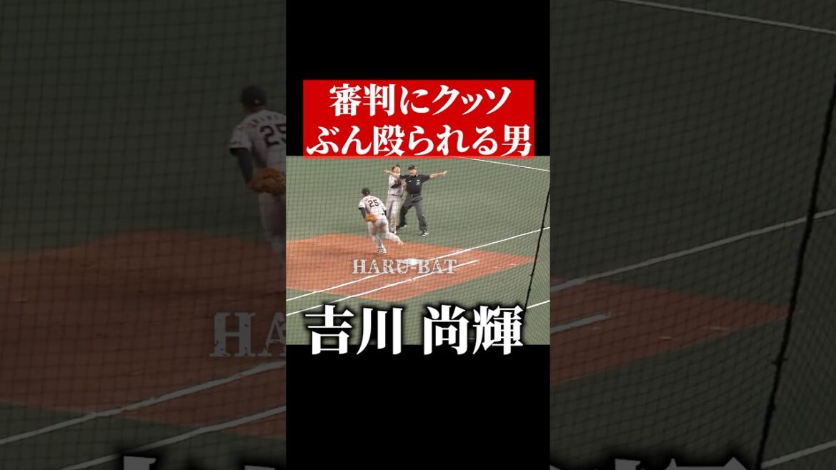 吉川尚輝、審判に殴られる #shorts