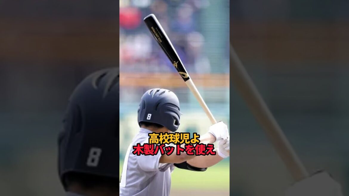 高校野球よ 木製バットを使え#shorts #野球 #高校野球#木製バット #平田良介 #やきゅスト