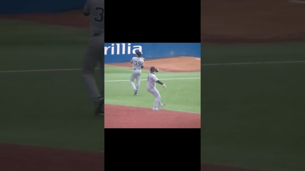 丸佳浩のキャッチボール（ ヤクルトスワローズ対 読売ジャイアンツ 2024年8月27日）