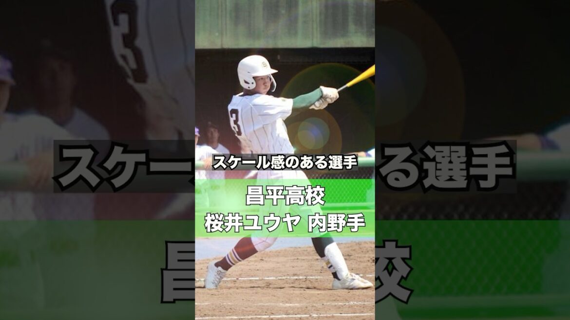 【阪神タイガース】2025年 ドラフト候補！ ＜昌平高校＞桜井ユウヤ 内野手 埼玉のスラッガー！高校生の右打ちでは この選手！決勝で花咲徳栄を追い込んだ#shorts #阪神タイガース #プロ野球