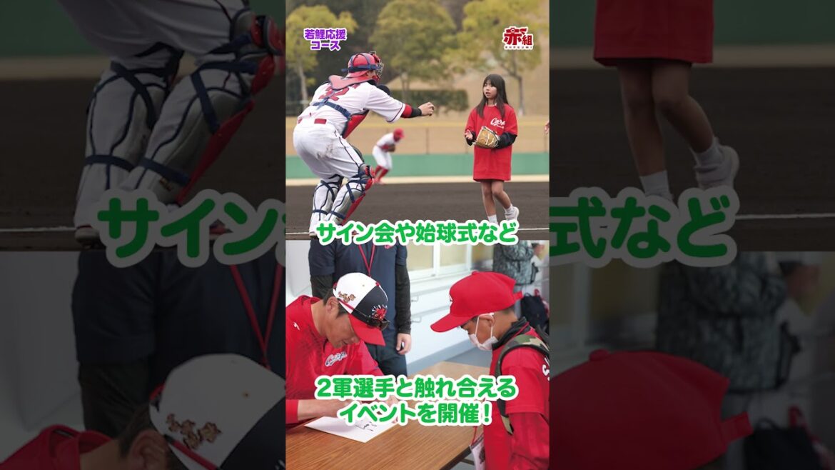 Hiroshima-Toyo-Carp: カープ公式ファンクラブ(若鯉応援コース) カープ公式ファンクラブ(若鯉応援コース)