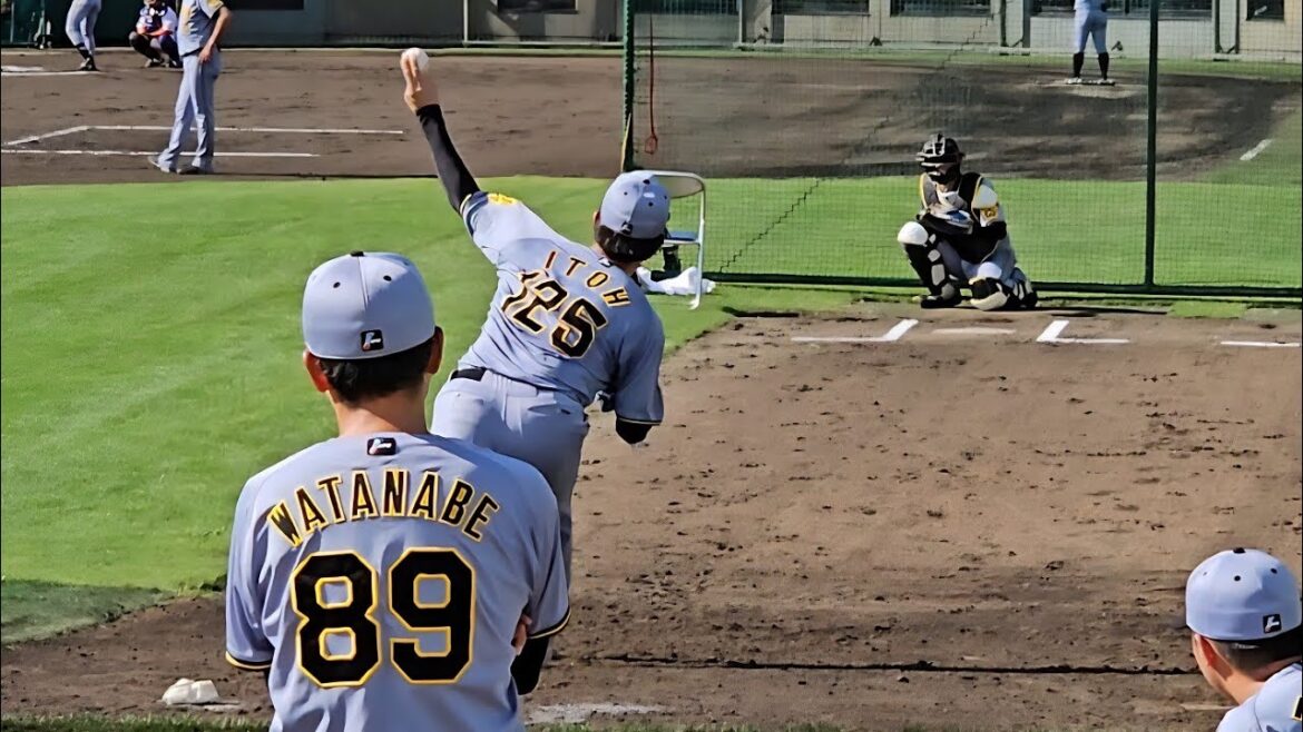 【フェニックスリーグ】阪神タイガース伊藤稜ブルペン投球(2025-1012) 【フェニックスリーグ】阪神タイガース伊藤稜ブルペン投球(2025-1012)