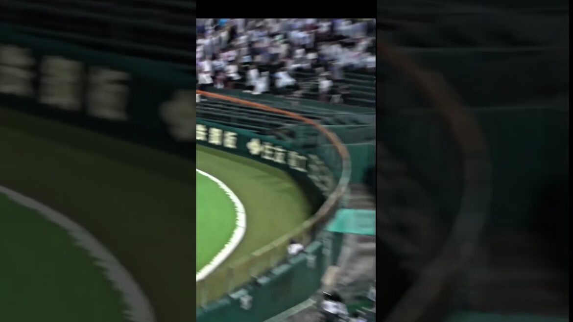 夏の甲子園　日大三・2年生4番田中諒　試合決める一発！　#高校野球 #甲子園 #全国高等学校野球選手権大会 #ホームラン #日大三高 #野球