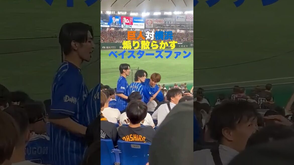 【痛い】煽り散らかすベイスターズファン＃横浜DeNA  #ベイスターズ #プロ野球