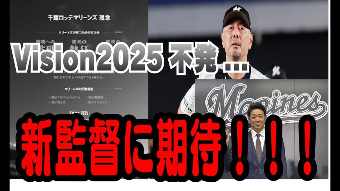 千葉ロッテマリーンズ今年の総括と来季への展望 千葉ロッテマリーンズ今年の総括と来季への展望